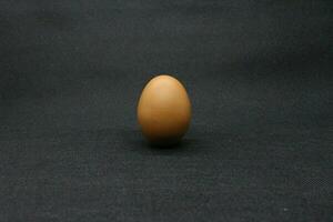 chicken egg with black background photo