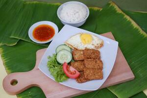 Fried tempeh cutlet with rice and fried egg on white plate photo