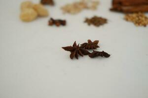 spices and herbs on a white background photo