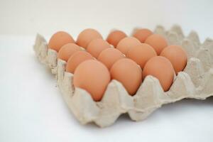 Eggs in a carton box on a white background photo