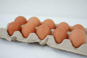 Eggs in a carton box on a white background. photo