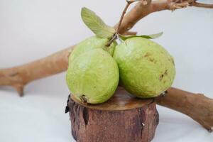 guava fruit on wood background photo