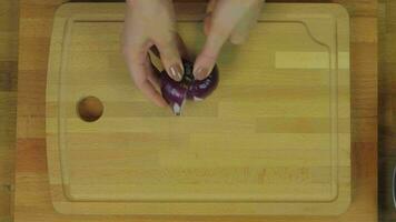 Woman Chopping Purple Onion at Wooden Kitchen Table video