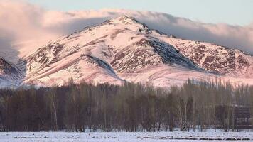 montagnes derrière peuplier des arbres sur plat neigeux plaine dans hiver video