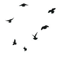 Silhouette sketch of a flock of flying birds, flight in different positions. Hover, soaring, landing, flying, flutter vector