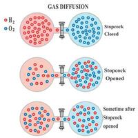 Gas Diffusion Phenomenon of oxygen and hydrogen in gaseous state in experiment container tube with stopcock closed opened and after sometime,physics chemistry concept vector