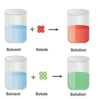 Solutions. Solubility homogeneous mixture. Solute, solvent and solution. Dissolving solids. Educational diagram.schematic of solubility in chemistry vector