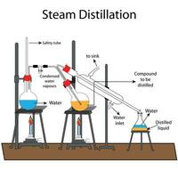 vapor destilación, una separación proceso ese consiste en destilar agua juntos con otro volátil y No volátil componentes vector