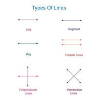 Different types of lines in mathematics. Mathemetical concept. vector