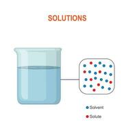 Solutions. Beaker or container with solute in a solvent. Dissolving solid particles or ions in a liquid. vector