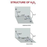 Structure of H2O2 vector