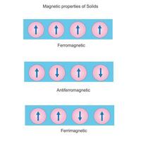 Magnetic properties of solids, ferromagnetic, antiferromagnetic and ferrimagnetic substances. Science illustration. vector