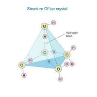 Crystalline structure of ice.Inter molecular hydrogen bonds , tetrahedral structure. vector