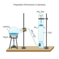 Preparation of ammonia in laboratory. ammonium chloride  and calcium hydroxide react  to give ammonia . Chemical illustration. education and science use. vector