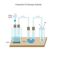 Preparation of hydrogen sulphide in laboratory. Sulphuretted hydrogen. Ferrous sulphide and dilute sulphuric acid react to give hydrogen sulphide. Chemical illustration. vector