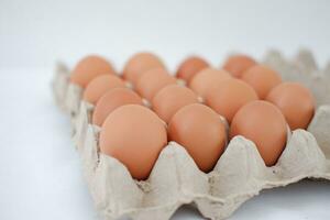 Eggs in a carton box on a white background. photo