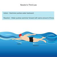 Newtons third law. swimmer pushes water backward with force and in return water pushes swimmer forward with same amount of force. Physics illustration. vector