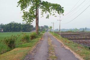 Rural road in the countryside of Thailand. Country road in the countryside photo