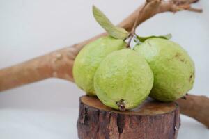 guava fruit on wood background photo