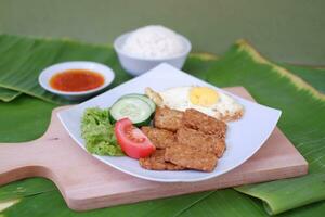 Fried tempeh cutlet with rice and fried egg on white plate photo