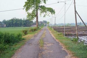 Rural road in the countryside of Thailand. Country road in the countryside photo