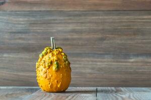 Ornamental pumpkin closeup photo