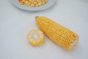 Corn on the cob and corn kernels on a white plate on a white background photo