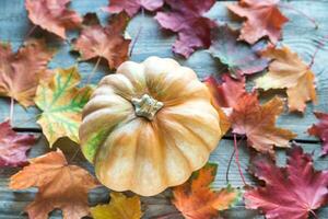 Pumpkin on the wooden background photo