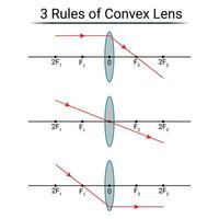 3 Rules of Convex Lens vector