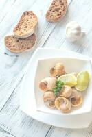 Portion of cooked snails photo