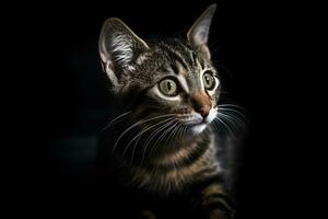 retrato de un atigrado gato en un negro antecedentes generativo ai foto