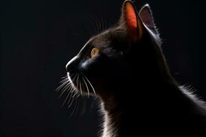 retrato de un negro gato en un oscuro antecedentes generativo ai foto