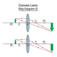 Convex Lens Ray Diagram 3 vector