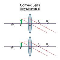 Convex Lens Ray Diagram 4 vector