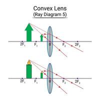 convexo lente rayo diagrama 5 5 vector