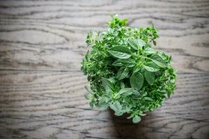 Fresh basil on the wooden background photo