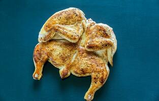 Grilled chicken closeup photo