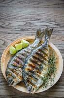 Grilled Dorade Royale Fish photo