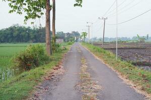 Rural road in the countryside of Thailand. Country road in the countryside photo