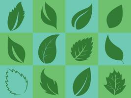 Set of simple leaves to use in various illustrations vector