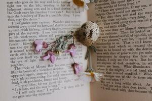 close-up of a  little spring daisy flower and chamomile quail egg on the background of an old book photo