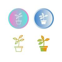 Plant Vector Icon