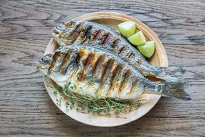 Grilled Dorade Royale Fish photo