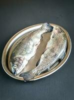 Fresh trouts in ice on the vintage metal tray photo