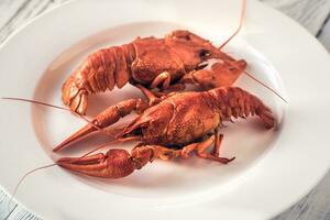 Dish of boiled crayfish with sauce photo