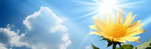 A sunflower on the bright blue sky, god rays, soft atmospheric light photo