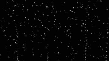 water bubbles on black background vector