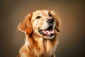 golden retriever dog portrait on brown background generative AI photo