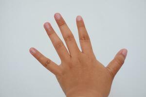 hand of a child on a white background photo