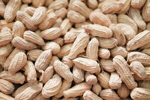 Peanuts in the shell on the wooden background. Close up. photo